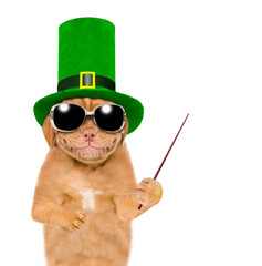 St Patrick's Day concept. Smiling puppy wearing the hat of the leprechaun points away on empty...