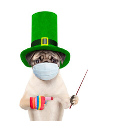St Patrick's Day during lockdown concept. Funny puppy wearing protective face mask and green...