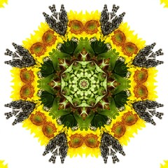 Abstract Pattern Mandala Green Yellow Sun Flowers Art 19