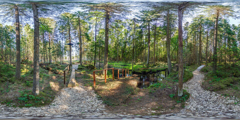full spherical hdri 360 panorama view on gravel pedestrian road in pinery forest in equirectangular...