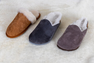 processed leather shoes, slippers and soles obtained from natural animal skins