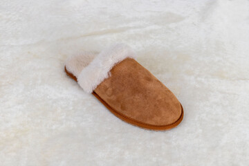 processed leather shoes, slippers and soles obtained from natural animal skins