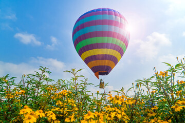 Fototapeta na wymiar Enjoying flowers and scenery in hot-air balloons