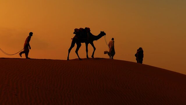 Cameleers, camel Drivers at sunset. Thar desert on sunset Jaisalmer, Rajasthan, India.
