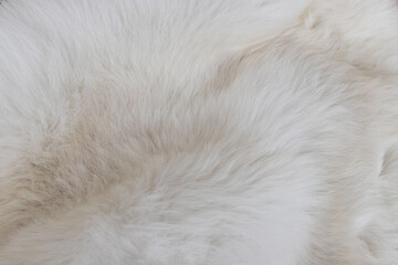 Leather fabrics obtained from natural animals, not yet processed. black leather pieces