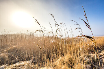 Obraz premium küste