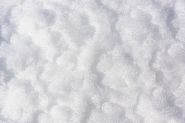 Patterns of flowers on white snow.