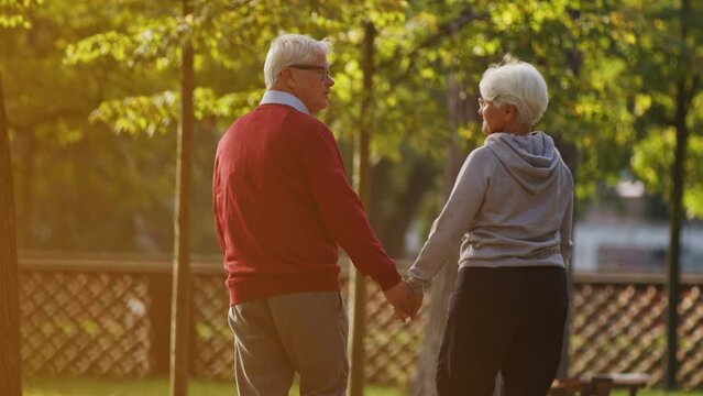 Senior Caucasian couple spending time together in a park in the afternoon shooting from the back selective focus copy space . High quality 4k footage