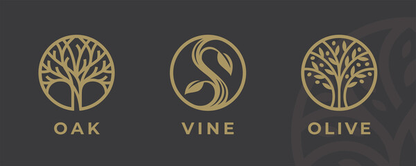 Abstract tree logo icon set. Elegant garden nature symbol collection. Branch with leaves sign. Vector illustration.