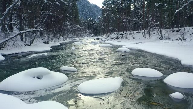 Beautiful snow scene forest in winter. Flying over of river and pine trees covered with snow.