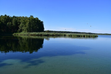 Obraz na płótnie Canvas nature, reserve, ecosystem, water, pond, Poland, Milicz, 