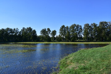 nature, reserve, ecosystem, water, pond, Poland, Milicz, 