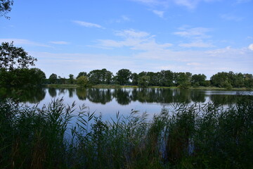 nature, reserve, ecosystem, water, pond, Poland, Milicz,  © Albin Marciniak
