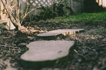 stone footprint as a path in the garden