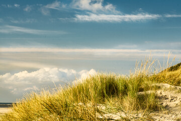 on the coast of Blåvand Denmark. View over the dunes. Bright colors. Landscape