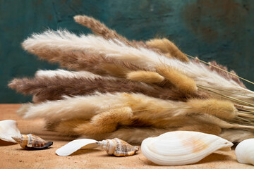 decor ornamental plant pampas. The specially prepared composition is used to beautify places and interior architecture.