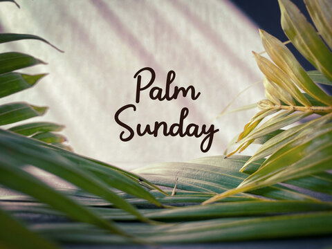 Palm Sunday text background. Lent Season,Holy Week and Good Friday concepts. Stock photo.