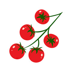 Whole ripe red cherry tomatoes on white background. Cartoon illustration