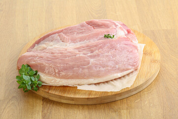 Piece of the raw pork meat