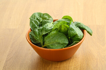 Fresh green spinach leaves in the bowl