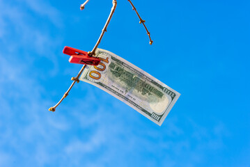 Dollar (banknote) on a clothespin, money on a tree branch. Currency growth concept.