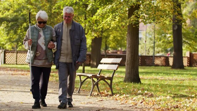 Elderly Caucasian man helps his blind wife to walk in the park disabled blind people support concept . High quality 4k footage
