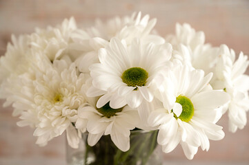 White chrysanthemum flower bouquet in vase. Spring composition with daisy flowers. Abstract rustic background.