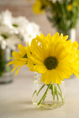Yellow chrysanthemum flower bouquet in vase. Spring composition with daisy flowers.