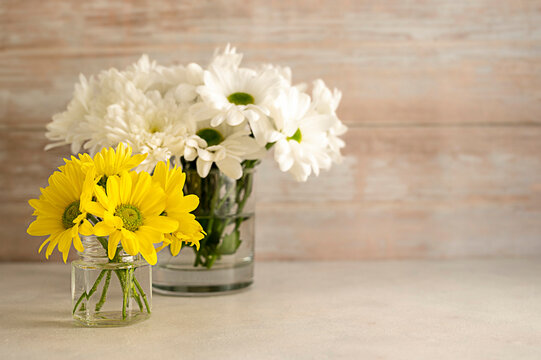 Yellow and white chrysanthemum flower bouquets in vase. Spring composition with daisy flowers.