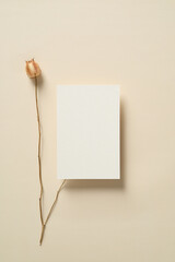 Blank greeting card mockup and dried flower on beige table. Wedding invitation template. Boho, minimal style.