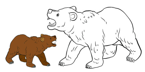 Animals. Black and white image of a big bear, coloring book for children. Vector drawing.
