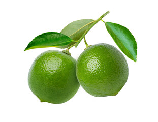 Fresh green limes on a branch with leaves Isolated on a white background