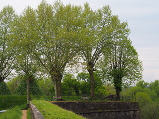 La localidad de Navarrenx en Francia, con su recinto fortificado.