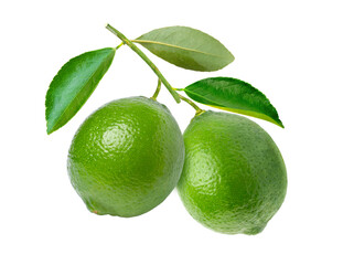lime with leaves on white