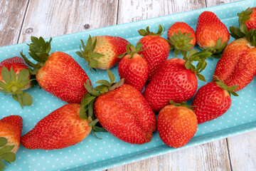 whole red strawberries isolated on a blue platter on a table