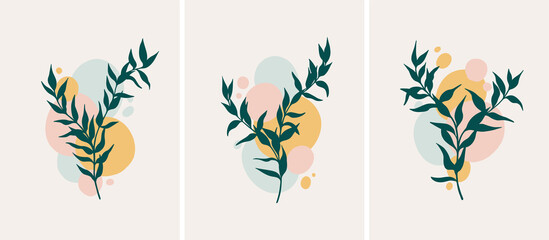 Fototapeta na wymiar Abstract minimalistic template layout with botanical elements and round shapes. Vector set with outline plants and pastel circles that designed for wall decoration, postcard or poster, cover design.