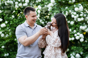 Happy Ukrainian couple in the park. Little dog, beautiful bouquet of tulips. spring freshness