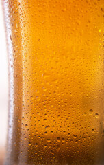 Beer  in a glass mug close-up, Frothy cold drink. Beer  in a pub or bar