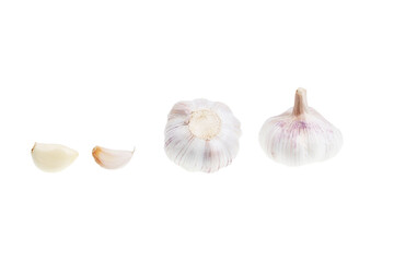 Garlic Isolated Pure White Background