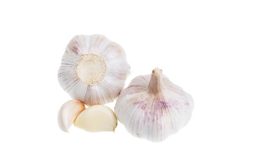 Garlic Isolated Pure White Background