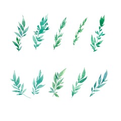 Set of green watercolor branches. Delicate twigs hand drawn. Ten different twigs on a white isolated background.