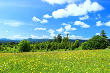 Mountain landscape, green meadow, forest and blue sky with some clouds