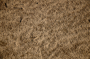 The texture is brown soil, from which white salt comes to the surface. Agriculture concept