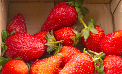 Fresh and Juicy beautiful organic strawberries on wooden background.Top view point.