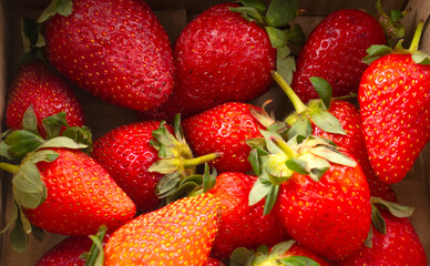 Fresh and Juicy beautiful organic strawberries on wooden background.Top view point.