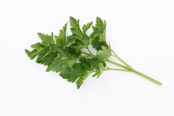 Bio parsley leaf on white background.