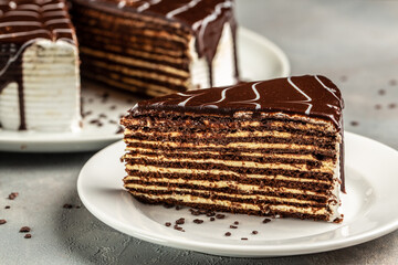 Delicious chocolate Prague cake, delicious chocolate cake. Food recipe background. Close up. Layered chocolate cake