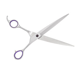Scissors for cutting people and pets. Grooming scissors. Opened scissors on a white isolated background. Side view.