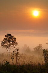 Fototapeta na wymiar Nature landscape. Thung Salaeng Luang, Phetchabun province in Thailand.
