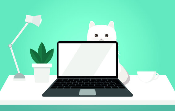 cute kitten is sitting near the laptop. white cat sits at the monitor on the table.